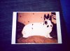 $PICT0001.jpg