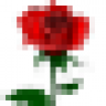 magic-rose
