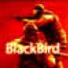 theBlackBird