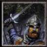 Wikinger63
