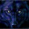 canis lupus