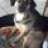 Jack11012004